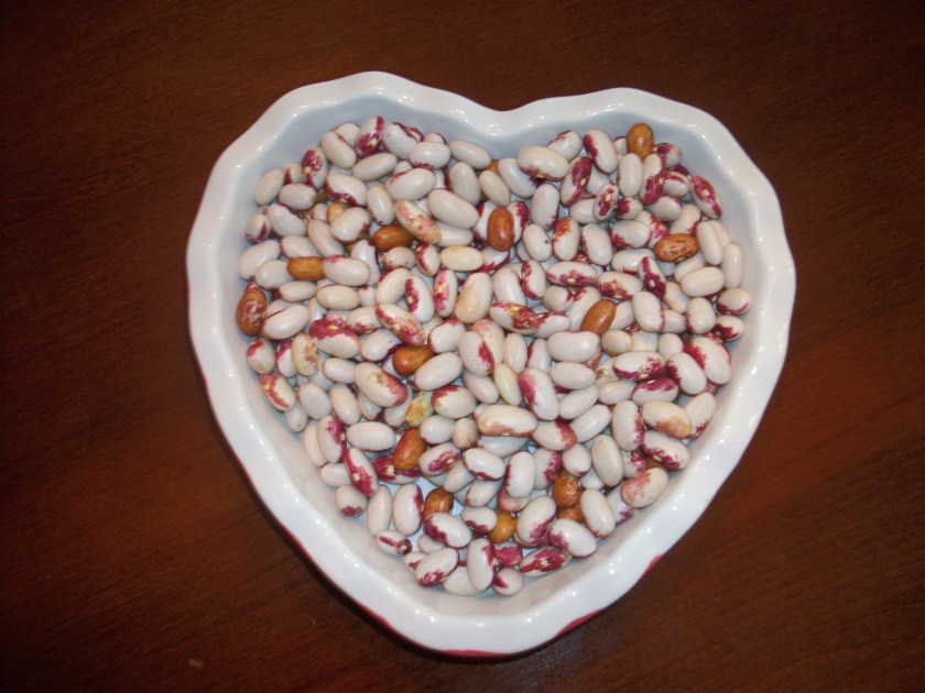 Dried Beans from garden, sept. 2011