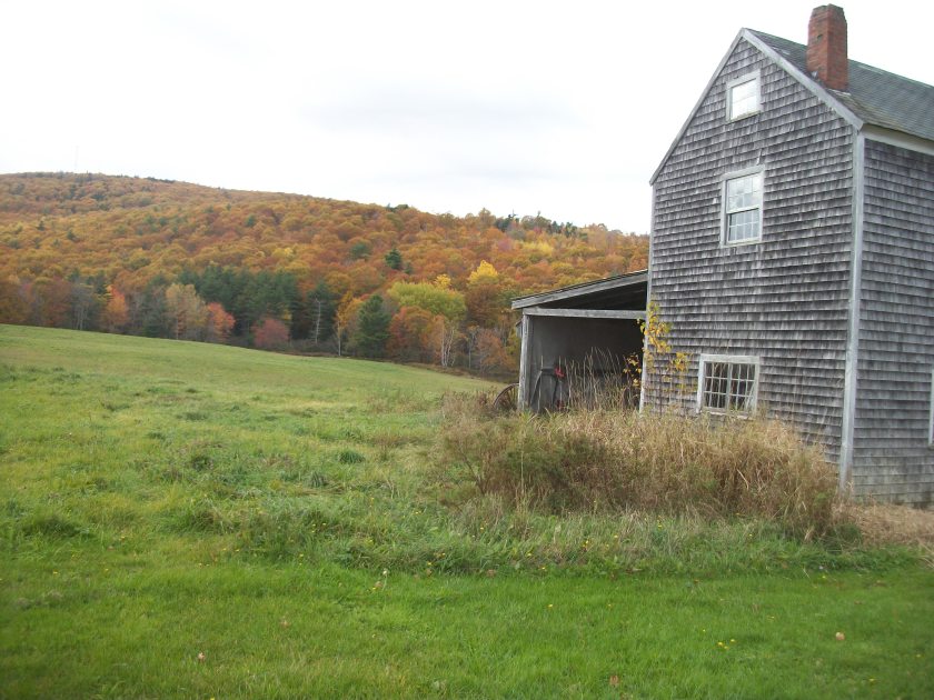 Maine woods, Oct 2012