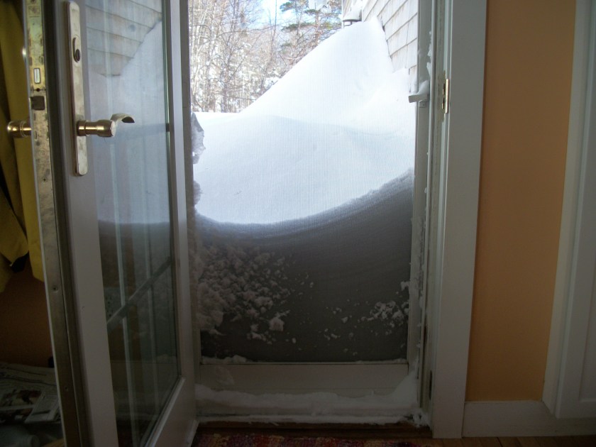 Blizzard of 2013, kitchen door