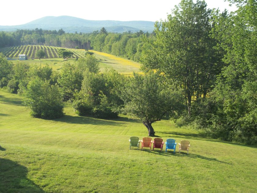 Cellar Door Winery back view