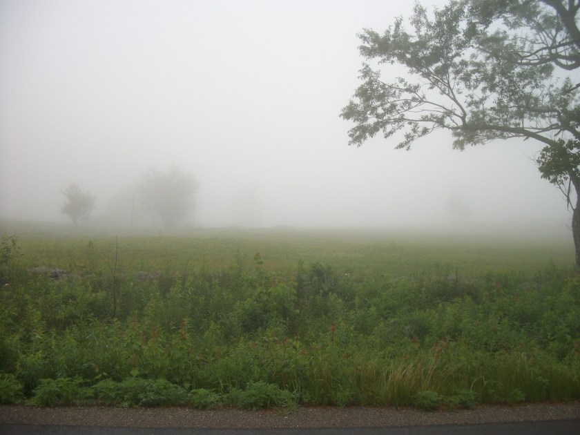 Pea  Soup Fog, June 2013