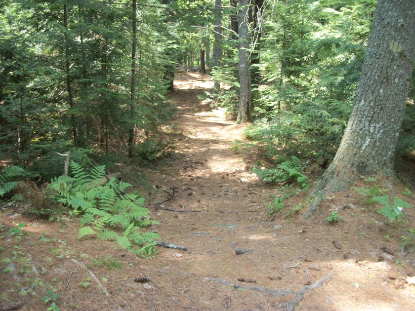 Greg's crew, Fernald's neck path