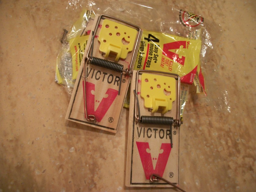 Mouse Traps