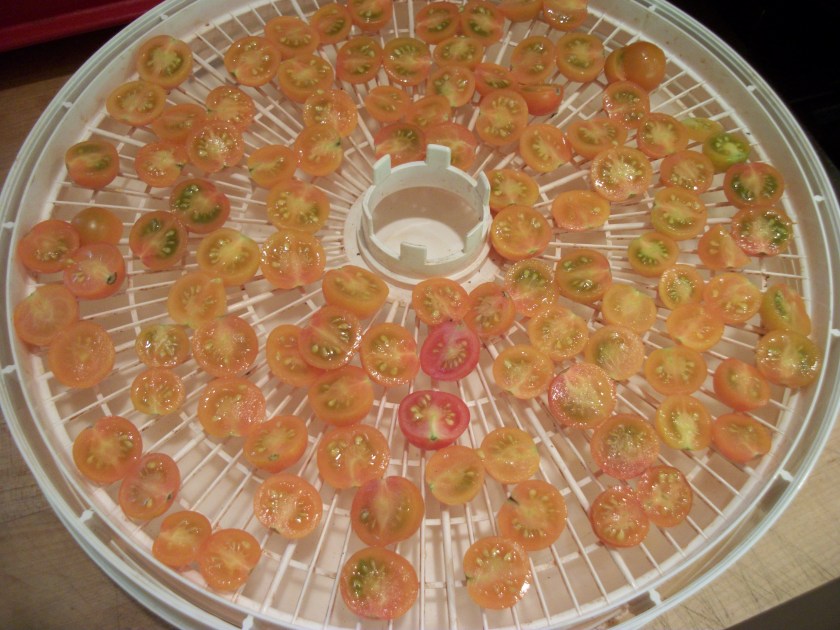 Dehydrator 2