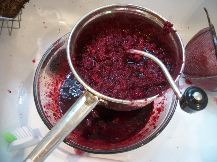 Deseeding blackberry jam