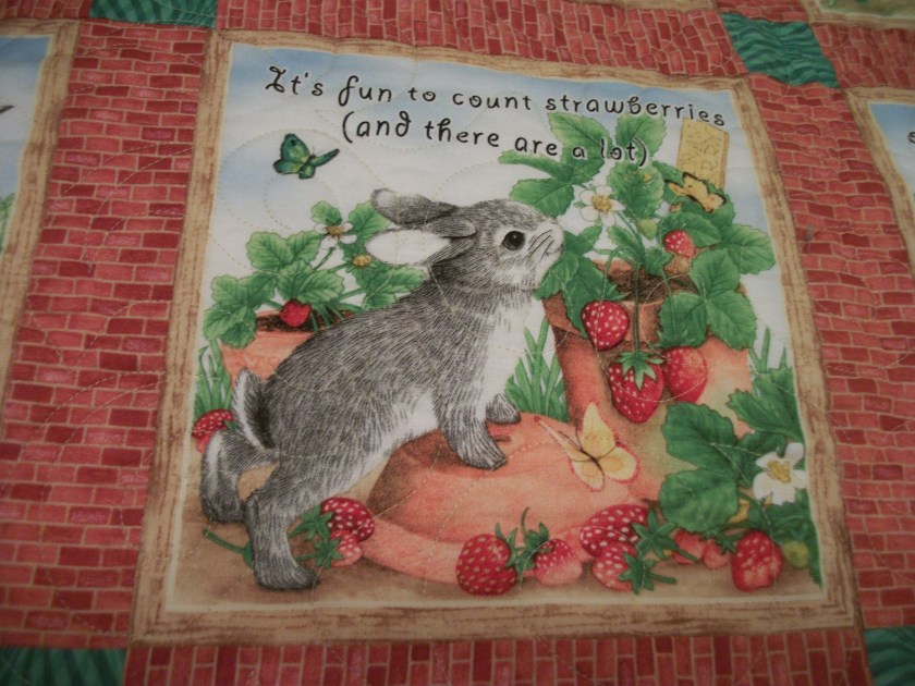 Big Bunny Hug Block 3