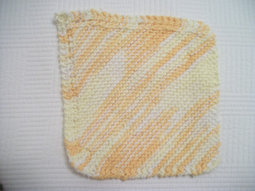Dishcloth 1