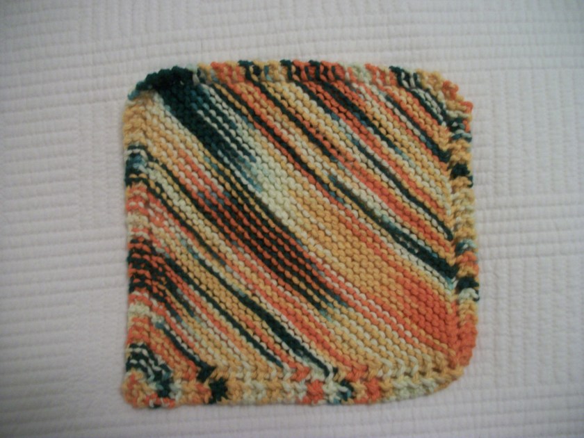 Dishcloth 2