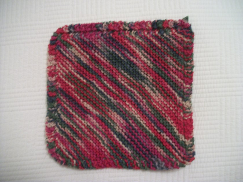 Dishcloth 3