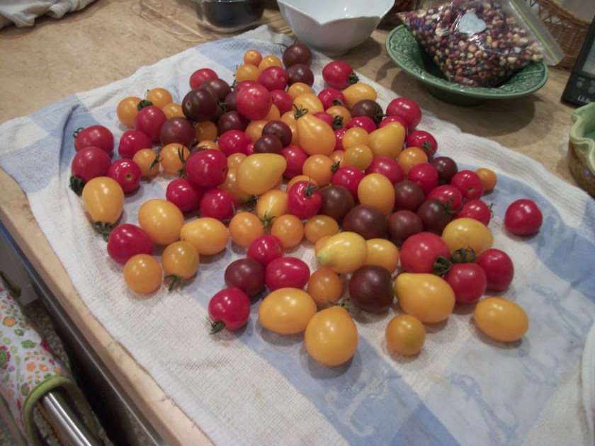Golden Brook cherries