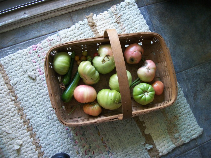 Sept. 29, Green Tomatoes