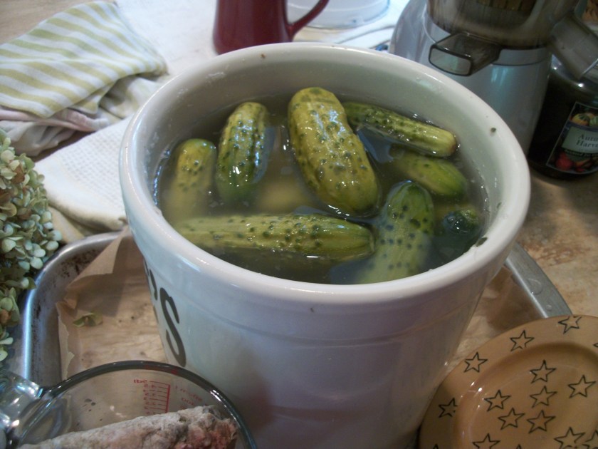 Sour Pickes in crock