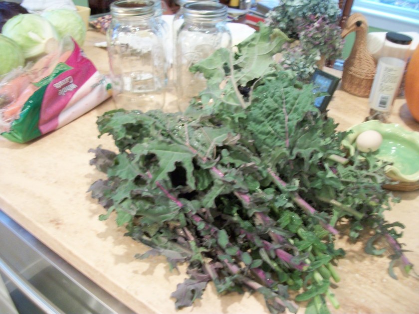 Kale from garde