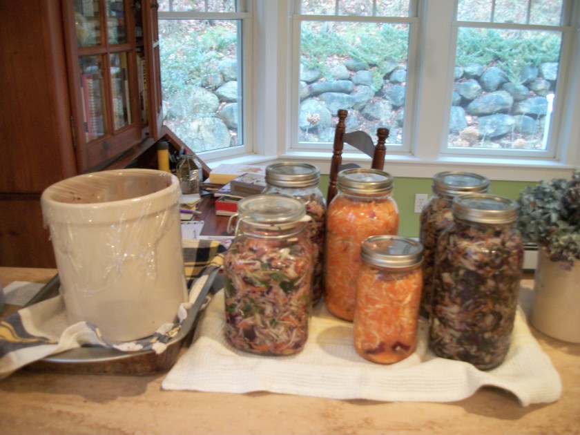 Lactofermented veggies, 4 gallons
